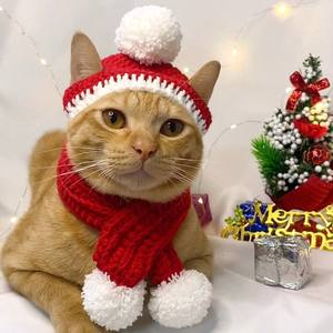 Conjunto de Gorro y Bufanda de Ganchillo para Gato, Estilo Navideño, para Fiestas, Disfraz para Mascotas - Product Image 5