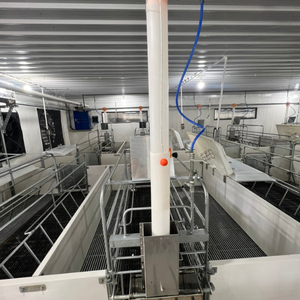 Caisses de mise bas pour porcs Caisse de mise bas pour porcs Stylo de mise bas pour porcs fabriqué au Viet Nam Fabriqué en acier inoxydable 304 - Product Image 6