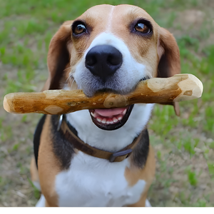 Mordedor de Madera de Café de Larga Duración - Resistente, Seguro y Natural - Product Image 5