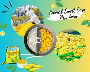 Canned sweet corn canned maize canned corn 20 oz/ Ethan +84941069457