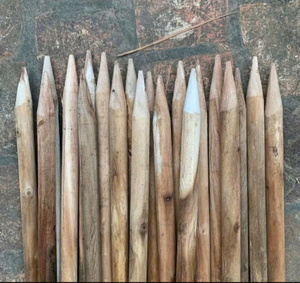 Piquets en bois à pointe carrée pour l'agriculture - Product Image 3