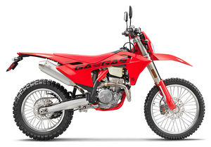 Disponible dès maintenant : Nouvelles motos de motocross ES 350 2025 en stock - Product Image 4