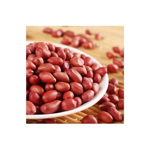 <b>Peanuts</b> bulk supply wholesale fast delivery cheap price exporter - Product Image 3