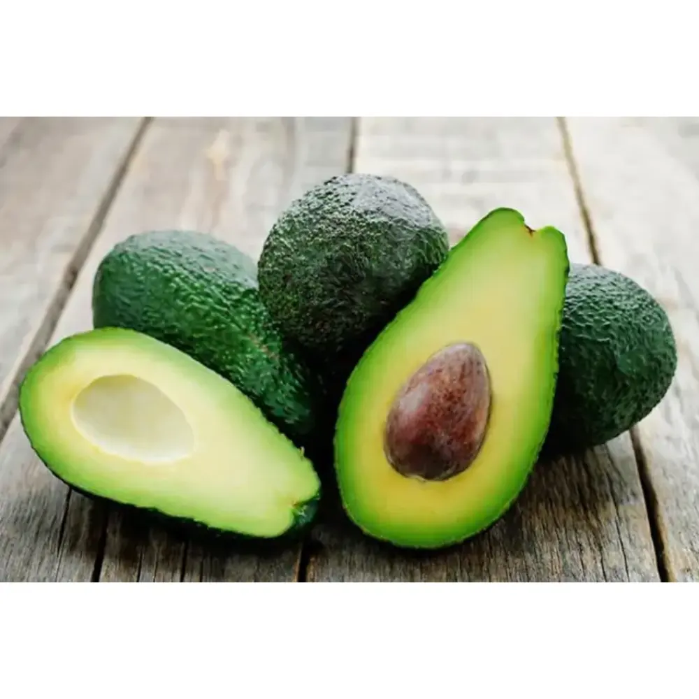 Fresh Avocado Green Tropical Fruit With High Quality And Competitive Price Export Standard Frozen Avocado For Multiple Purposes