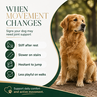 Comprimés pour la Flexibilité Articulaire Canine MSM & Acide Hyaluronique – Confort Quotidien pour la Santé des Chiens – Fabricant – Faible MOQ – OEM