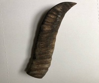 Fabricant de pointe blanche ronde en corne de buffle de bonne qualité Fabricant de pointes rondes en corne de buffle de qualité naturelle Agate pour cadeaux et artisanat