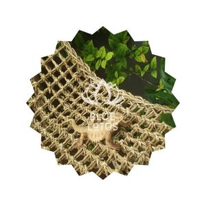 ราคาดีที่สุด เปลญวนหญ้าทะเลบลูลอตัส 2025 ที่นอนสัตว์เลื้อยคลานในมุมที่สมบูรณ์แบบสำหรับการพักผ่อน - Product Image 1