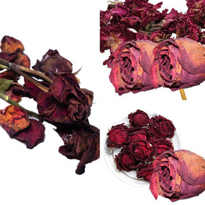 Fleur de rose rouge séchée | Utilisé dans les soins de la peau et la vapeur à base de plantes - Product Image 4