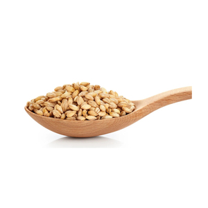 Grain d'orge fourragère/grain de malt d'orge/orge décortiqué orge perlé - Product Image 4