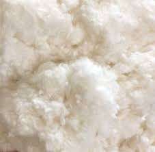 Algodón Linter Fibra de algodón crudo natural para hilar y rellenar Opciones de patrón blanqueado y crudo disponibles - Product Image 2