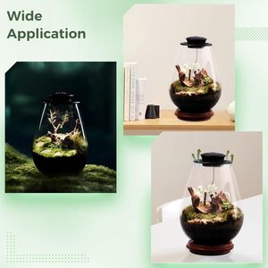 Terrarium en verre de bureau avec lumière de croissance 6,7 x 8,7 pouces Verre borosilicate Plante pour succulentes Mousse Miniature Jardinage Paysage - Product Image 5