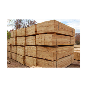 Bois de charpente scié Paulownia bois de charpente pour panneaux muraux en bois - Product Image 5