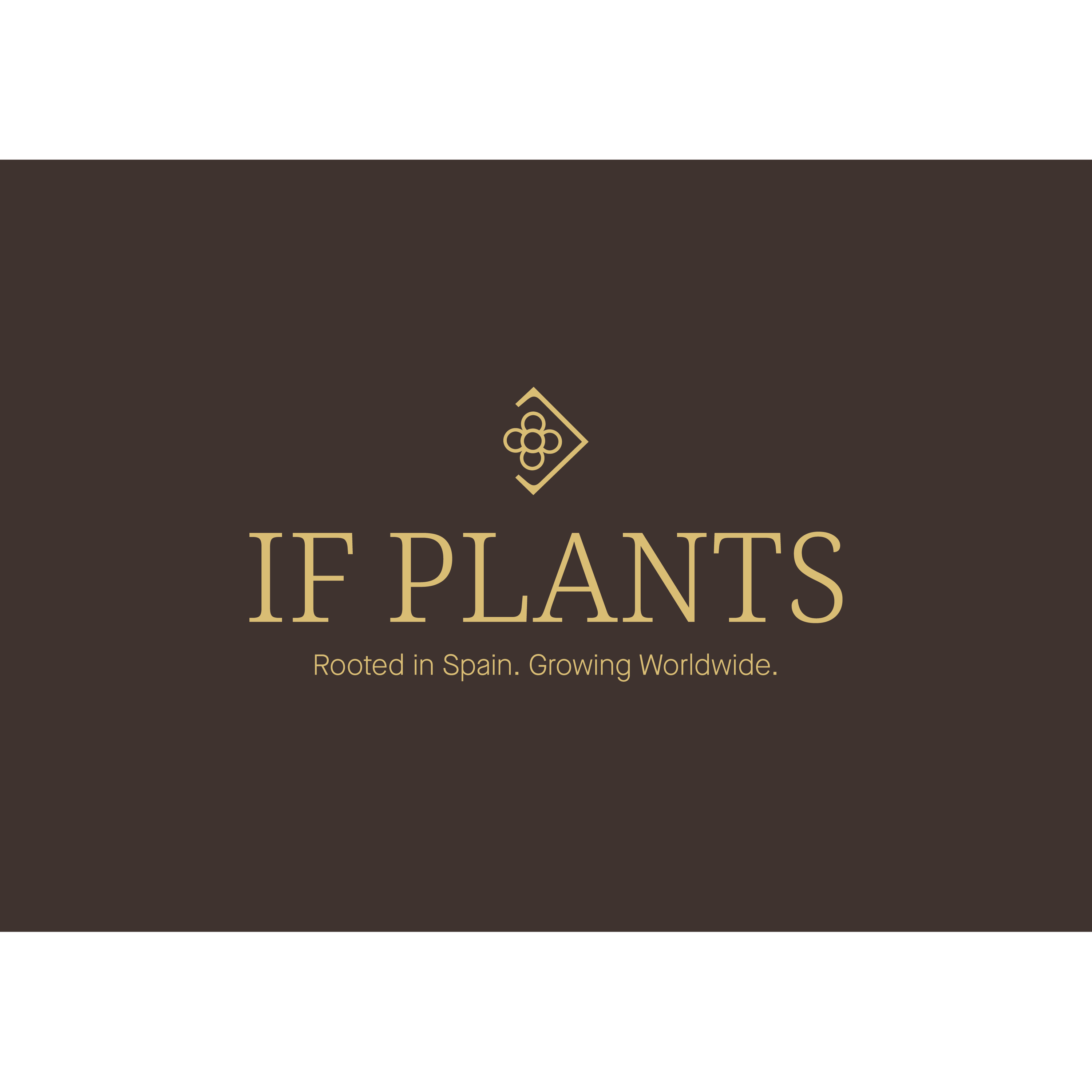 IF PLANTS NURSERIES logo