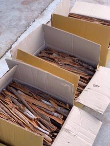 Vietnam Cassia Split Cinnamon High Oil Fournisseur en gros d'épices séchées naturelles | Doris + 84 352542206 - Product Image 2