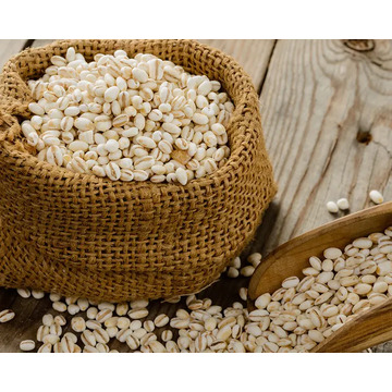 100% органический Ячмень для солодового ячменя, готовый к экспорту, продажа ячменя Украины оптом