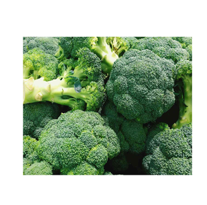 Brocoli frais en vrac à vendre à prix compétitif Approvisionnement en gros sain et naturel prêt à expédier - Product Image 3