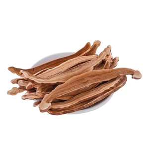 ผงเห็ดหลินจือจากเห็ดหลินจือมแดงสายพันธุ์2023 - Product Image 6