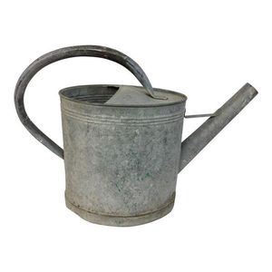 Arrosoirs décoratifs en métal en forme de diamant pour les jardins et l'intérieur Cannes de jardin d'arrosage élégantes à revêtement en poudre - Product Image 5