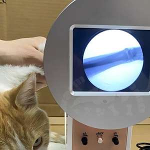 Sistema de Rayos <span class=keywords><strong>X</strong></span> Portátil para Veterinaria, Fluoroscopio Médico, Máquina de Rayos <span class=keywords><strong>X</strong></span> para Fluoroscopia Boej - Product Image 4