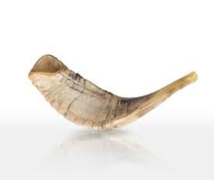 Shofar de qualité supérieure, corne de bélier naturelle polie, pour des usages religieux et la décoration de la maison - Product Image 1