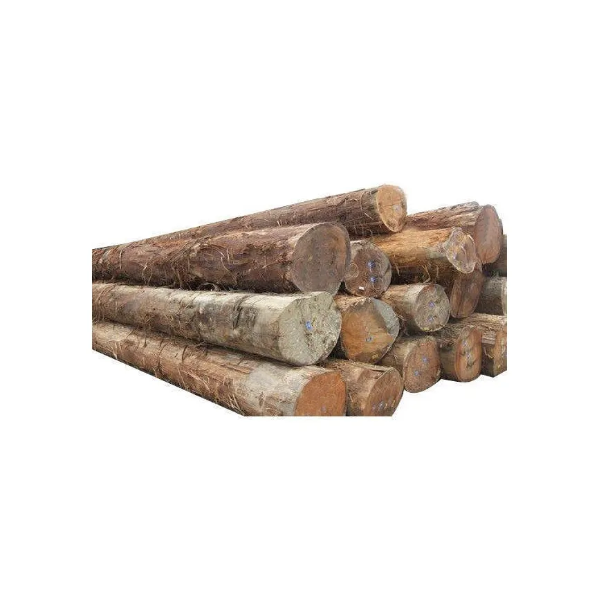 جذوع خشب نقي 100% جذوع خشب الساج / جذوع خشب البلوط / جذوع خشب الصنوبر