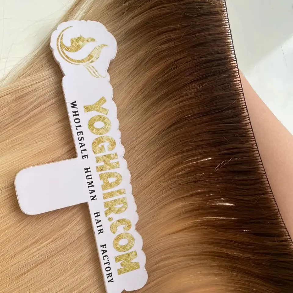 깃털 머리 연장 만찬에서 뜨거운 가격 YOGHAIR 제조소에서 익스프레스 배송 100% 자연 머리 무료 선물