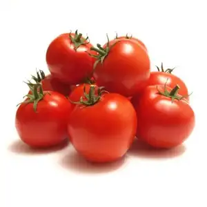 Pomodori freschi biologici sfusi congelati/pomodori freschi deliziosi di Heathy