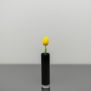 VCY0208BK - Black Cylinder Glass Bud <b>Vase</b> - 2 x 8 - Product Image 5