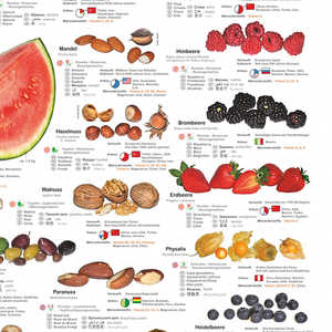Affiche de fruits et noix au design allemand DIN A1 - Product Image 2