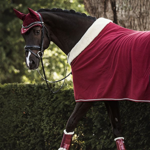 Nuevo estilo, alfombra impermeable para caballos, manta transpirable para exteriores para caballos con colores personalizados, alfombras/mantas para caballos personalizadas - Product Image 2