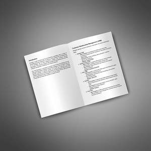 Archivo ZIP de Servicio de Operación y Mantenimiento Eficiente para la Automatización de Pequeñas Empresas (HS-TS-001) 10 MB 15 Páginas - Product Image 4