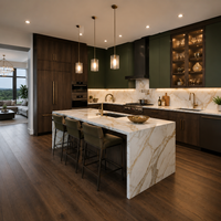 YIERHOME Soluciones de Gabinetes de Cocina de Lujo para Multifamiliares, Gabinetes Estilo Shaker para Desarrolladores de Apartamentos, Suministro Residencial al por Mayor