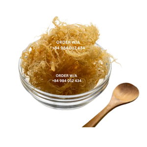 มอสทะเลไอริชสีทองคุณภาพระดับพรีเมี่ยม100% ธรรมชาติผลิตจากเวียดนาม - Product Image 1