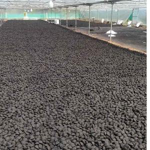 Best Selling Hexagonal Coconut Shell Briquette Charcoal <b>for</b> <b>Camping</b> or Picnic and Outdoor Events Available at Best Price - Product Image 3