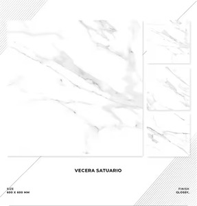 Moderno Digital Pulido 600x600mm Baldosas de cerámica Resistente al ácido Brillante 5mm para interiores Ladrillo refractario y función antideslizante - Product Image 4