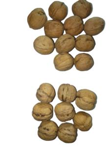 Vente en gros de noix biologiques noix 100% naturelles noix nutritives fraîches assurance qualité noix alimentaires - Product Image 6