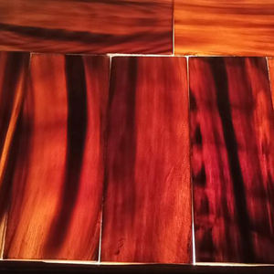 Fournisseur de corne brute indienne Décoration écologique en corne de buffle Esthétique classique Plaque d'agate Fonctionnelle Élégante - Product Image 5