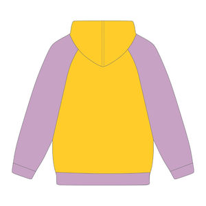 Sudadera con Capucha de Manga Raglán Dorada, Estilo HBCU, Bordado Chenille, Hermandad Griega Divine Nine, Ropa Personalizada con Logotipo, Sudadera de Moda - Product Image 3