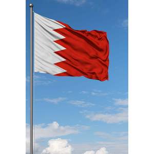 Drapeau personnalisé pour Bahreïn, fanion d'extérieur avec impression numérique, mât en aluminium, matériaux en soie, coton, nylon, plastique, logo personnalisé - Product Image 3