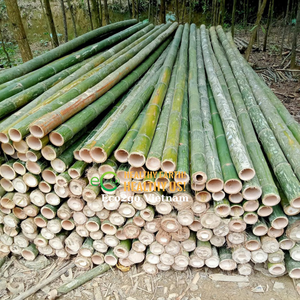 100% poteaux en bambou organique pour la construction/poteaux en bambou brut/poteaux en bambou pour la construction fabriqués au Vietnam - Product Image 4