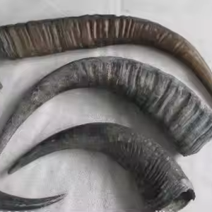 ฮอร์นควายย่อยสลายได้เป็นมิตรกับสิ่งแวดล้อมสำหรับงานปาร์ตี้งานฝีมือแฮนด์เมดโดยงานฝีมือเสี้ยว - Product Image 1