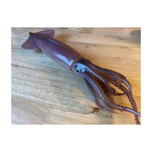 Calamar japonés a precio de fábrica para comercio mayorista - Product Image 3