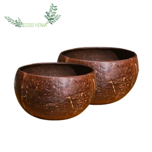 Cuenco de coco natural grabado a mano cuenco de cáscara de coco tallado único con diseño creativo para alimentos hechos en Vietnam - Product Image 2