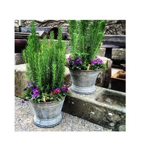 Jardinières galvanisées foncées de grande taille de conception merveilleuse pour des accessoires de jardin à la maison pour des fournisseurs en gros - Product Image 6