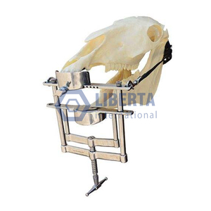 Liberta เครื่องมือทางสัตวแพทย์นำกลับมาใช้ใหม่ได้เครื่องมือทางทันตกรรมที่ใช้ในการชดเชยฟันที่อุดปาก - Product Image 6