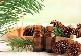 น้ำมันเข็มเฟอร์น้ำมันออร์แกนิกบริสุทธิ์จาก100% ธรรมชาติผู้ผลิตที่เชื่อถือได้ส่งออกคุณภาพสูงจากอินเดีย - Product Image 5