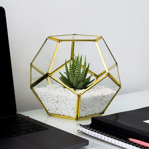 Terrarium en verre géométrique à bulles ouvertes irrégulières de qualité supérieure avec finition noire pour décor de bureau à Base en bois de pin décorer la maison - Product Image 5