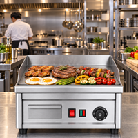 Commerciële elektrische bakplaat, vlakke grill, 3500W, dubbele temperatuurregeling, 10 mm dikke plaat, roestvrijstalen aanrechtblad, 220V