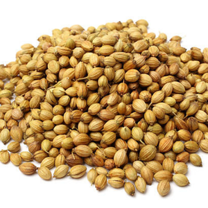 เมล็ดผักชีพรีเมียมขายส่งจำนวนมากสำหรับผู้ซื้อวัตถุดิบอาหารระดับโลก - Product Image 6