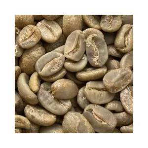 Arabica Catimor guter Preis Vietnam Robusta Kaffeebohnen Bohnen OEM-Service vietnamesischen Kaffee Vietnam Produkthersteller